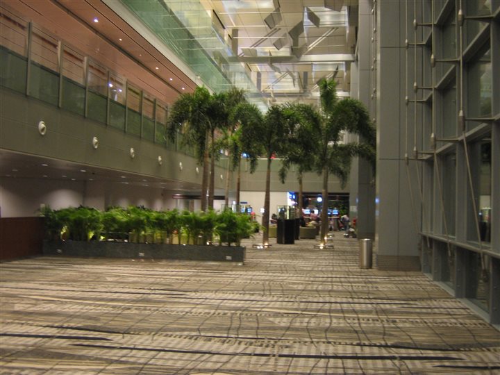 Changi_Airport_7